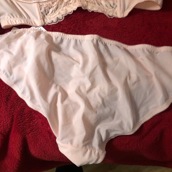 Parfait Lingerie Pale Blush Bra & Panty Set - Size 38E/Large - New With Tags - Picture 4 of 9